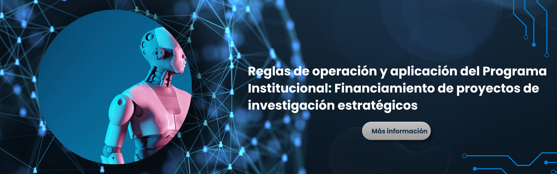 Financiamiento de proyectos de investigación estratégicos