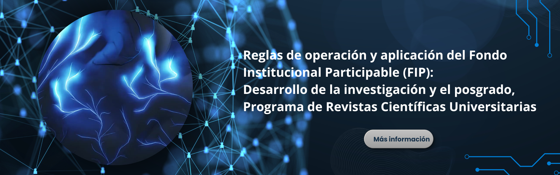 Programa de Revistas Científicas Universitarias